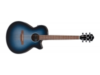 Ibanez AEG50-IBH Ibanez AEG50-IBH